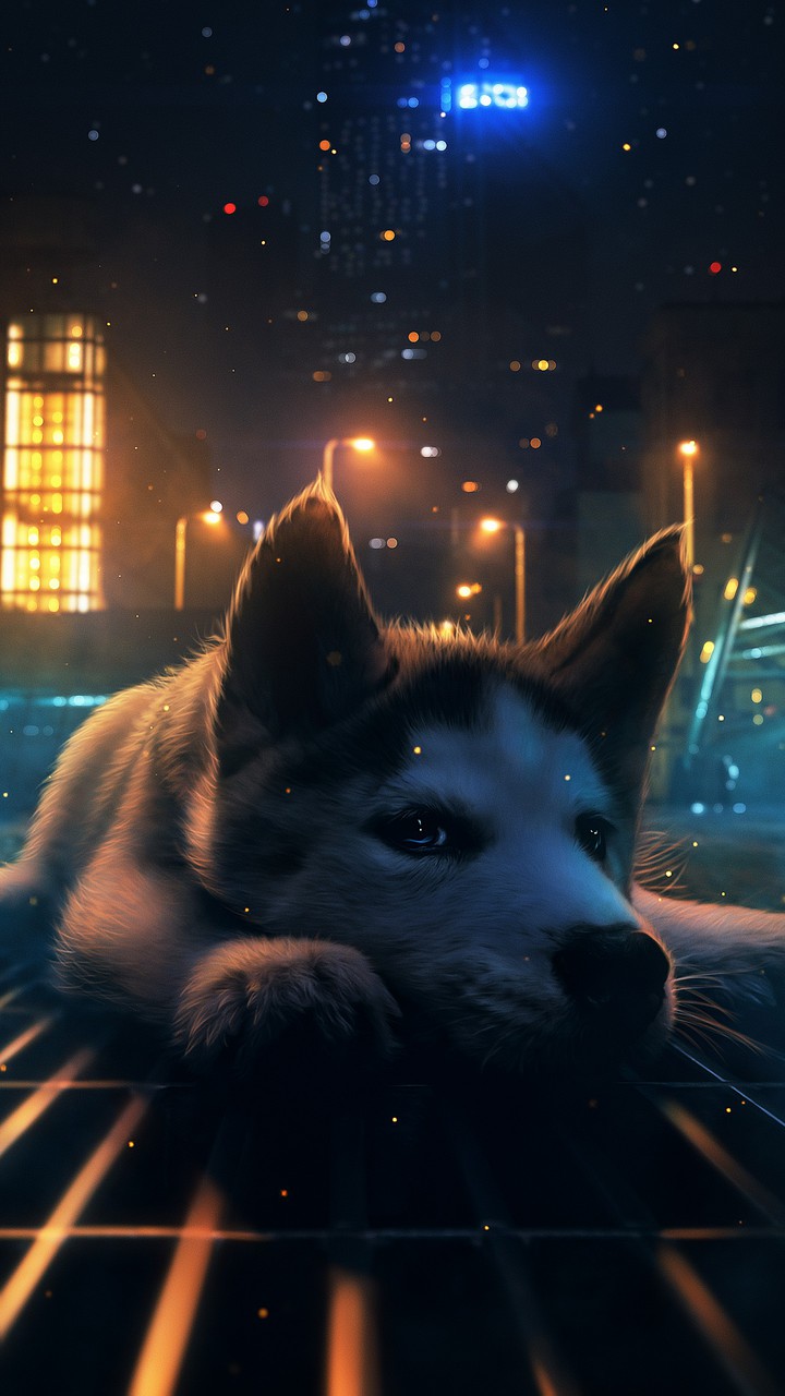dog