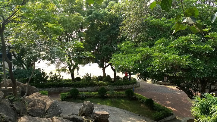 Close to Nature | Rock Garden