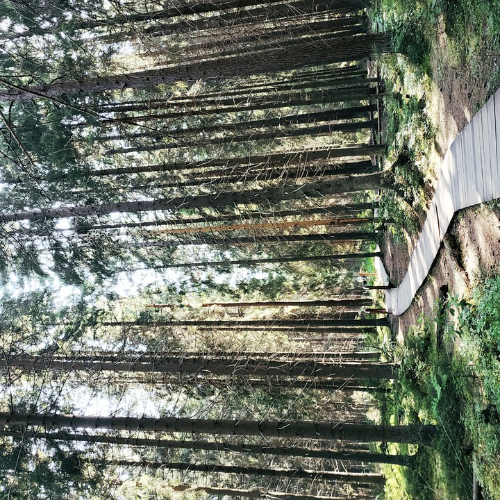 Secret garden