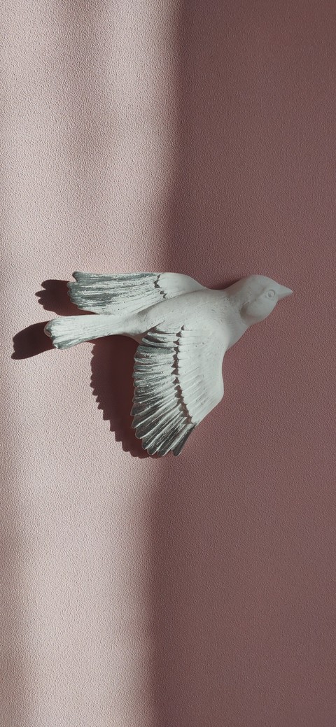 обои feather, Gesture