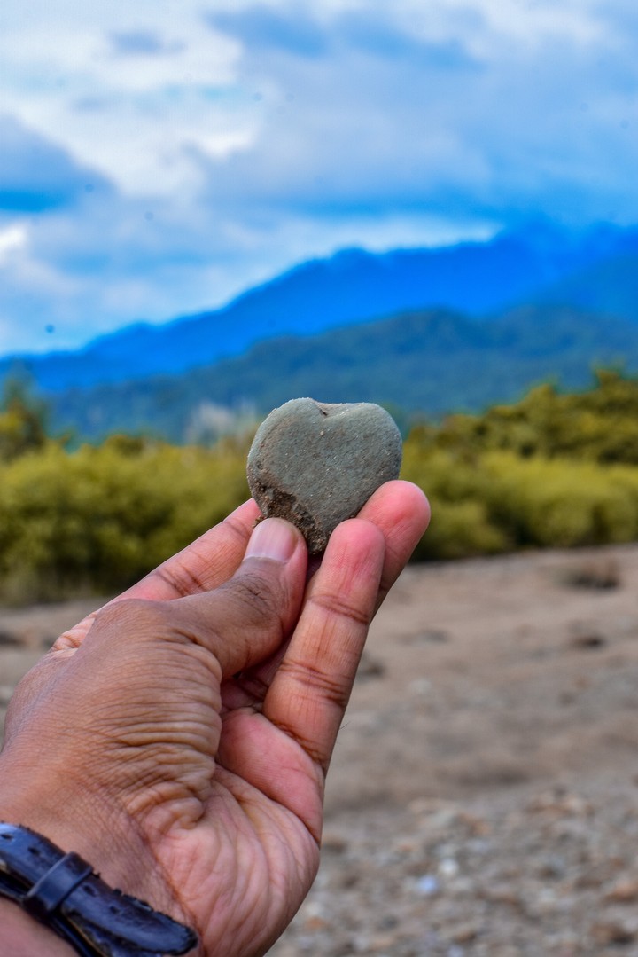 Heart