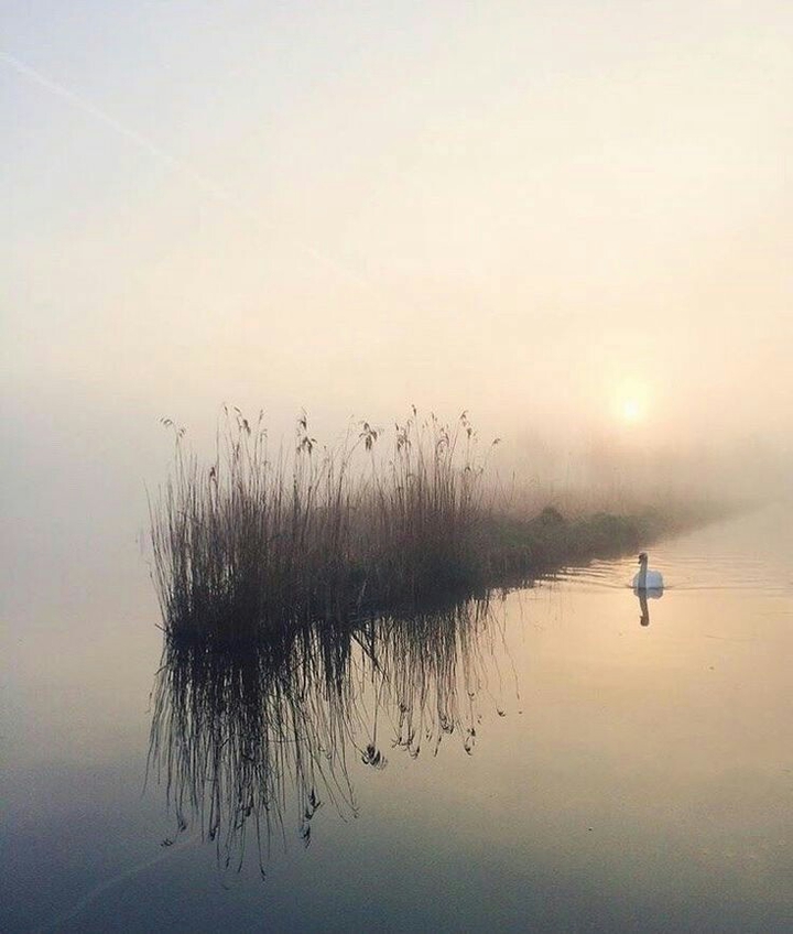 ،
