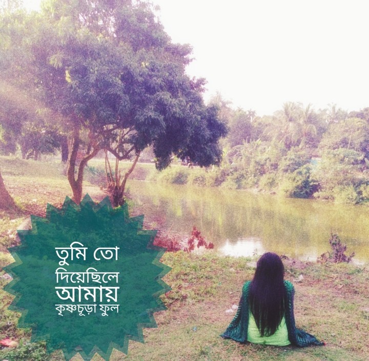 তোমার ভালোবাসা