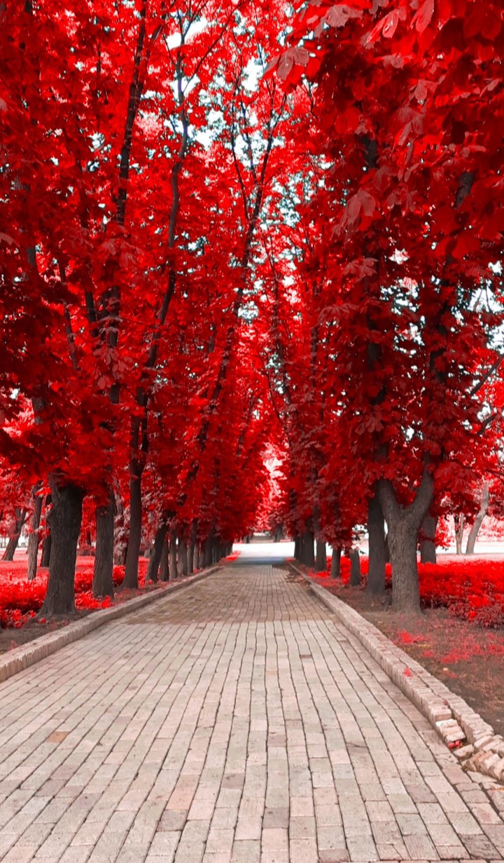 Fall