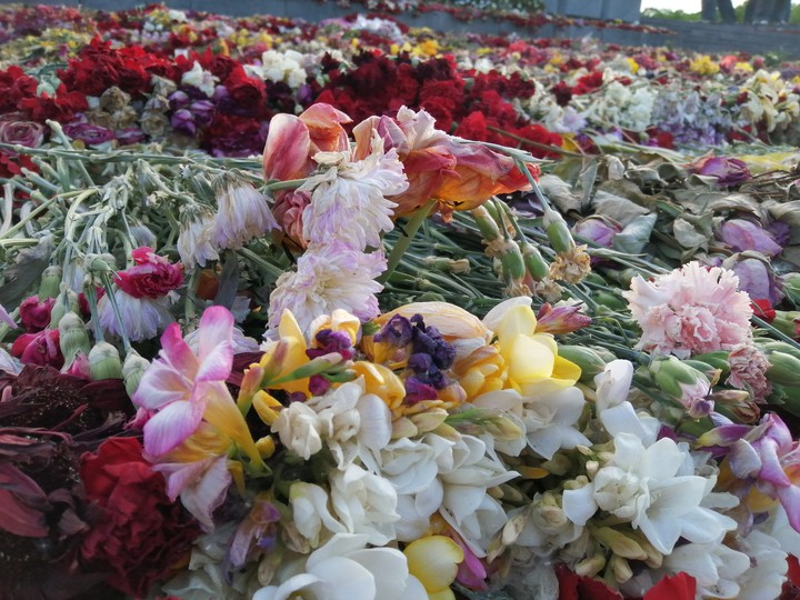 dead flowers