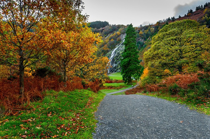 Beauty Of the Nature.