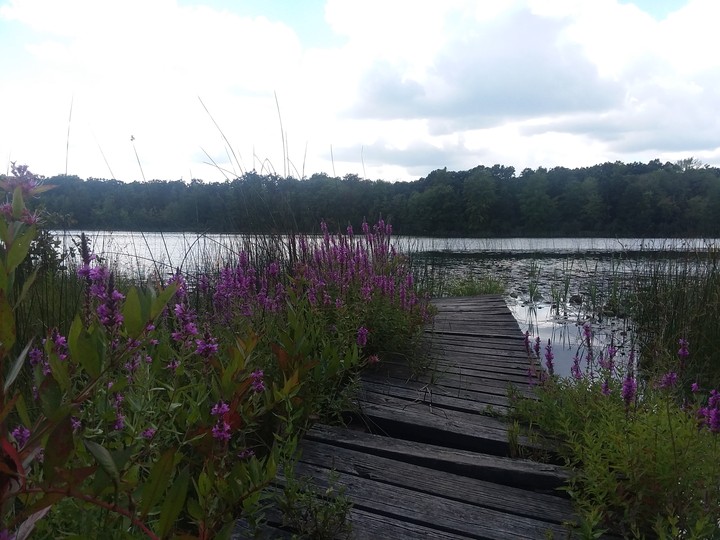 yankee springs recreational area, michigan
