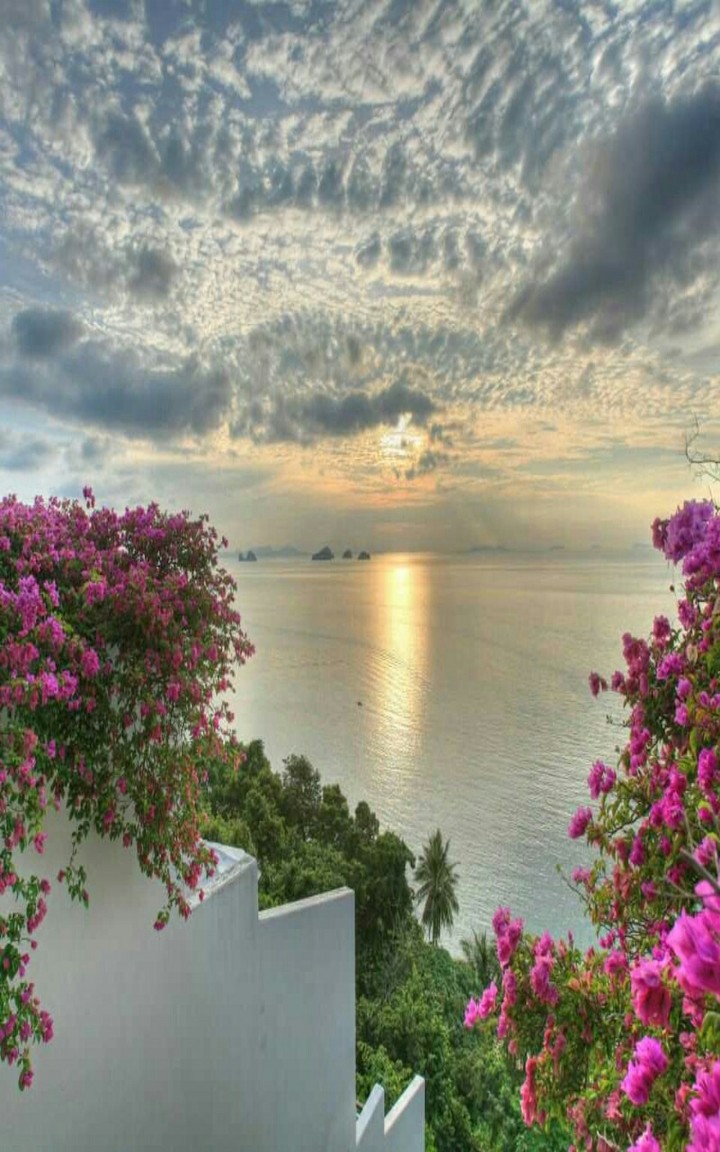 nature