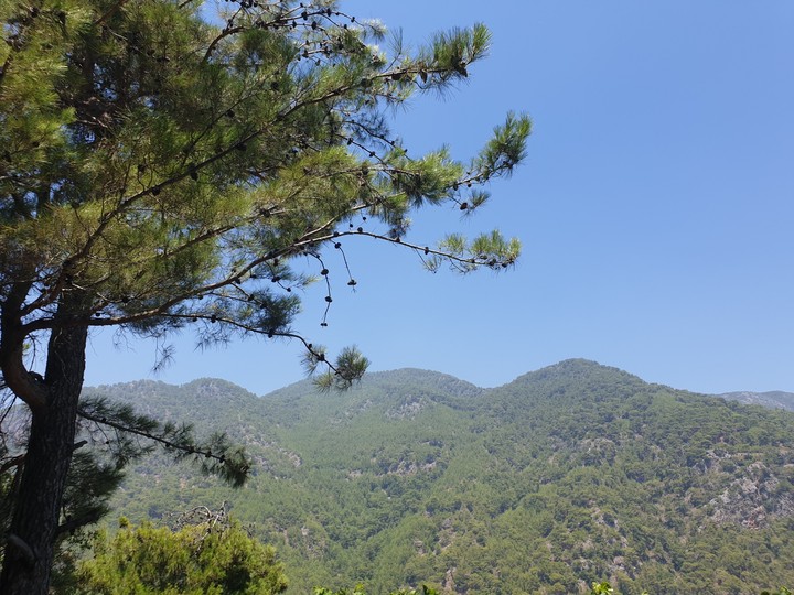 Turkey, hills