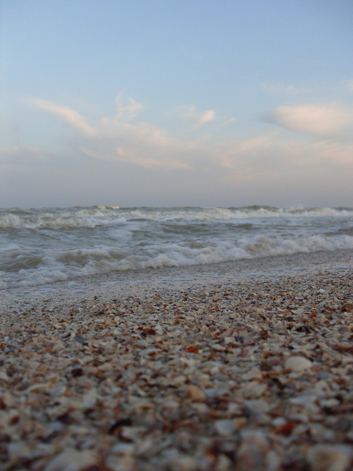 sea