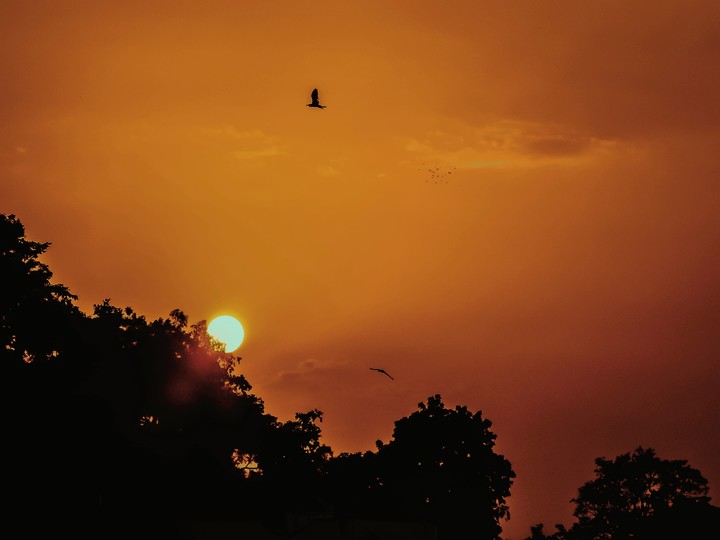 sunset