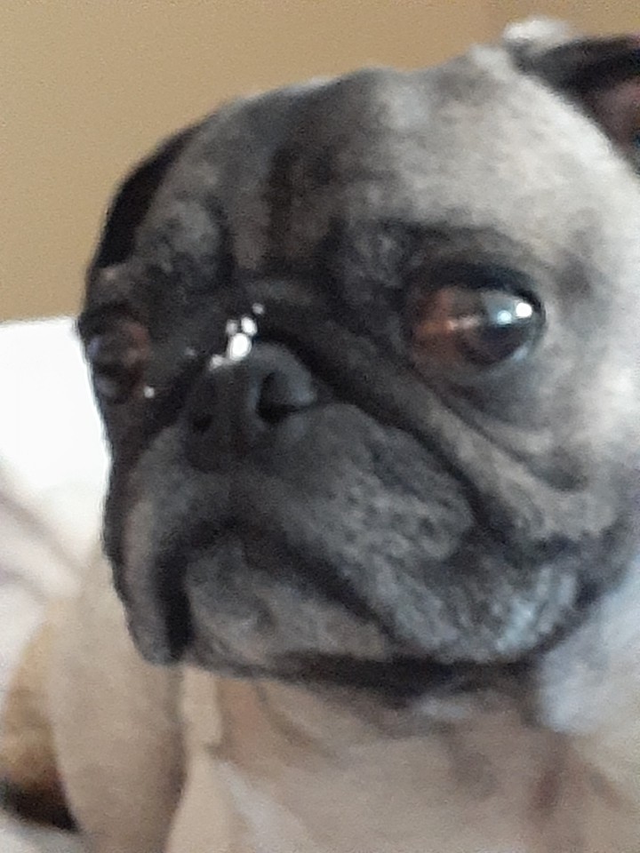.