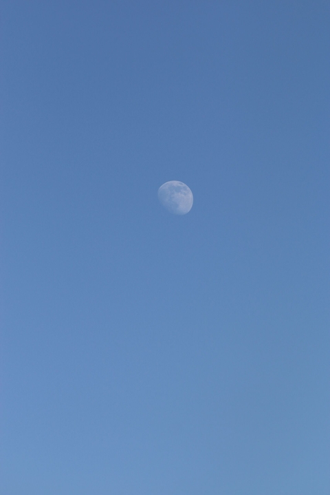 Moon