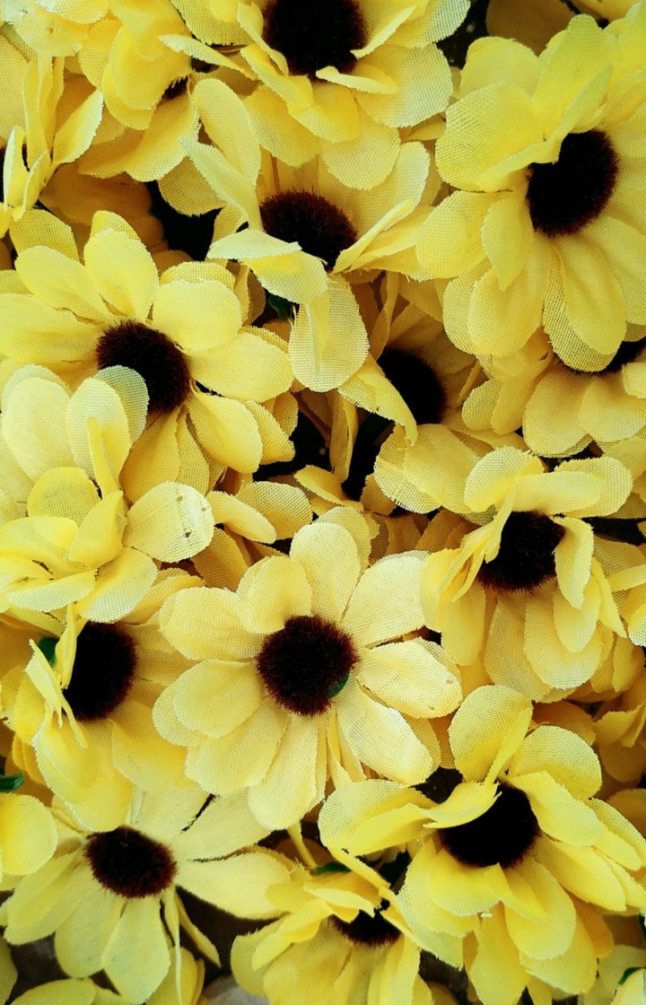 lléname de vida, como la lluvia hace con las flores