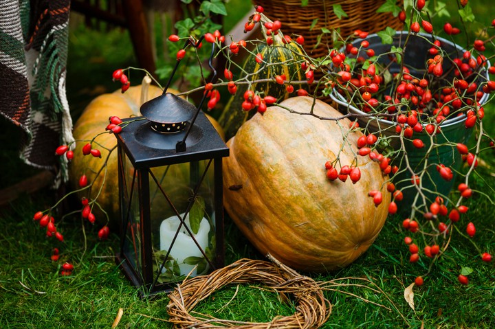 Autumn Decoration