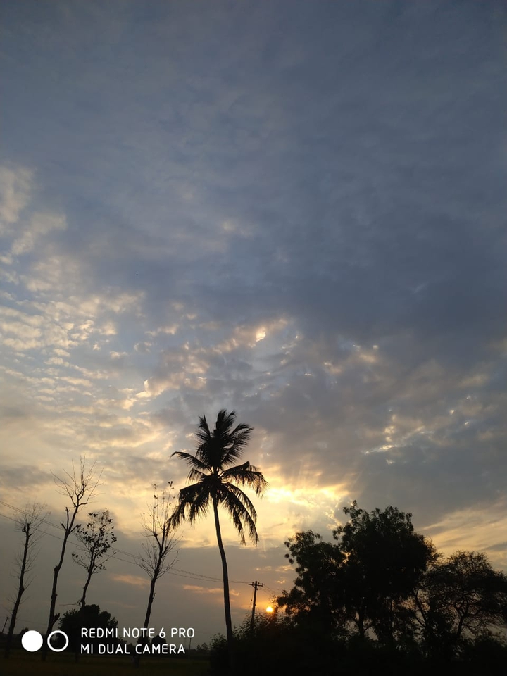 nature