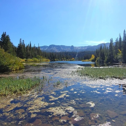 Mountain Lake