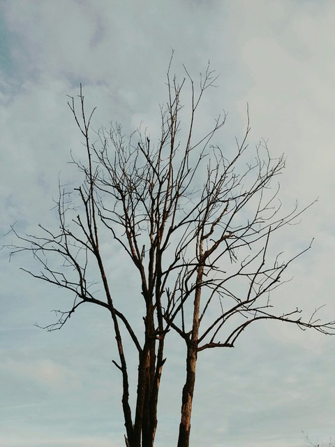 park