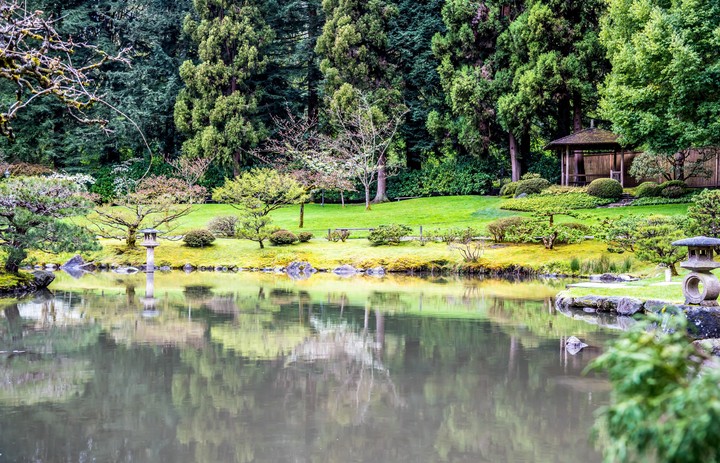 Japanese Garden