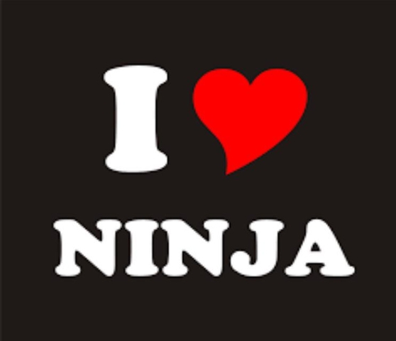 ninja