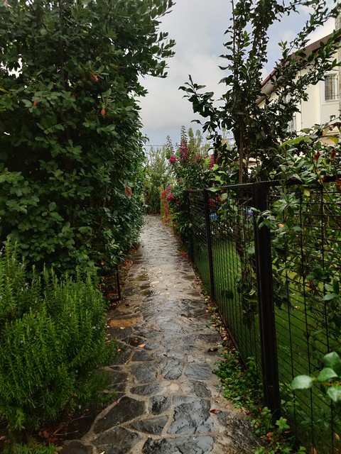 after rain