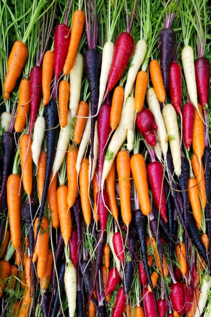 Rainbow Carrots ♥✌️✌️
