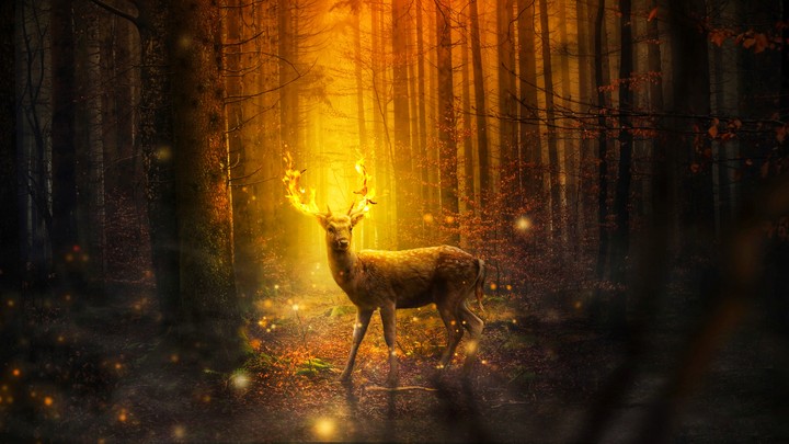 Horns on fire