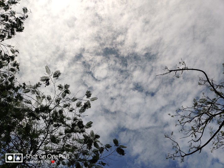 Sky Natural