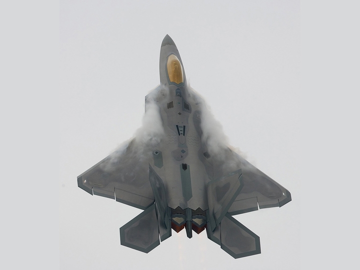 raptor