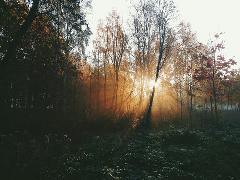 park