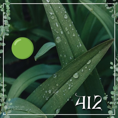 412