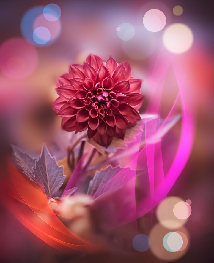 beauty...