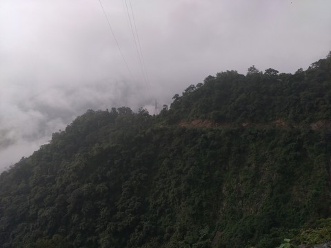 Himalayan