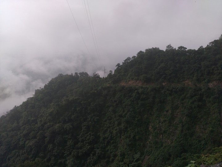 Himalayan
