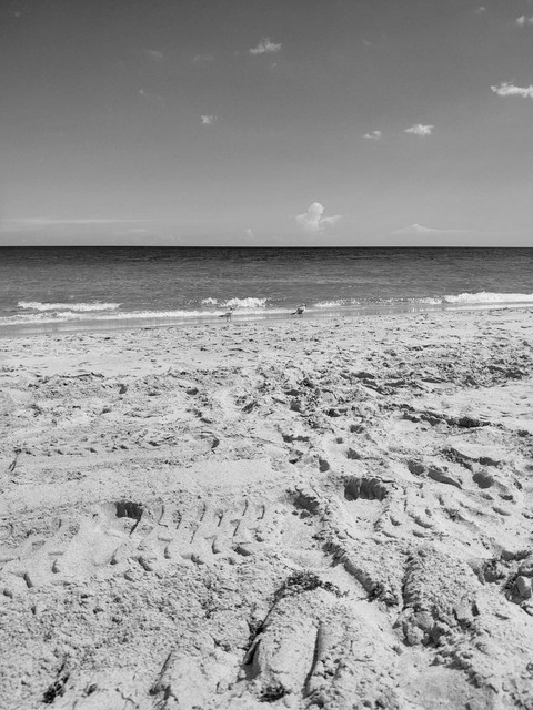 Black and White beach