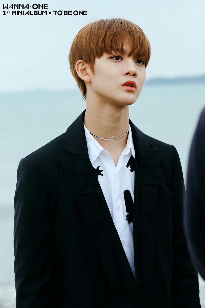Bae JinYoung