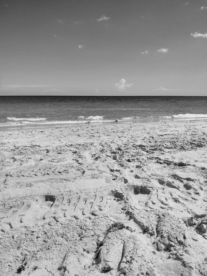 Black and White beach