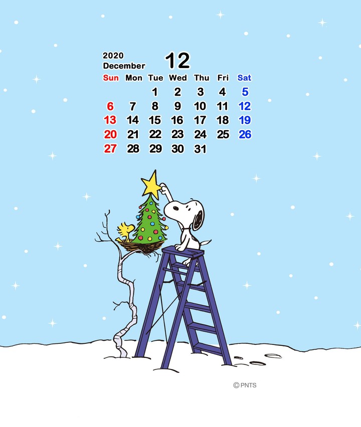 A Star for the Tree - December calendar