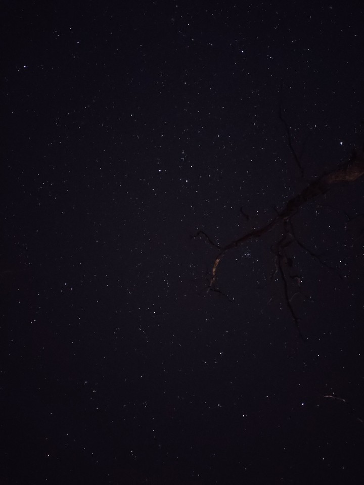 stars in my life