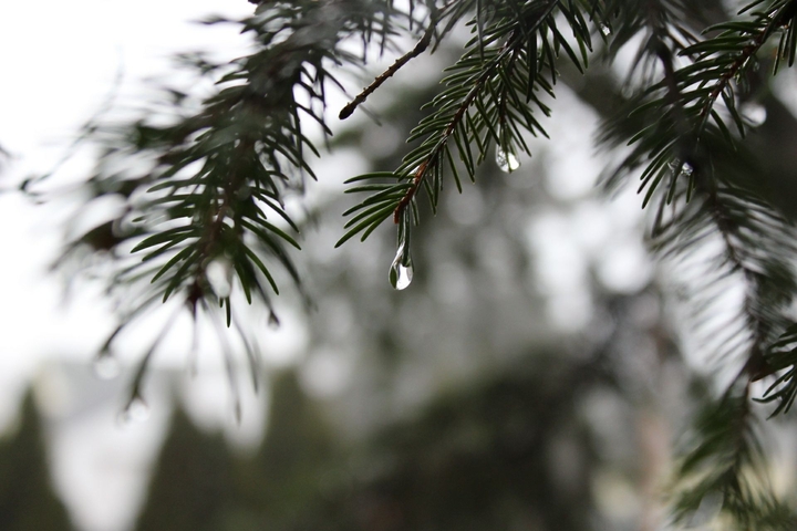 water drop