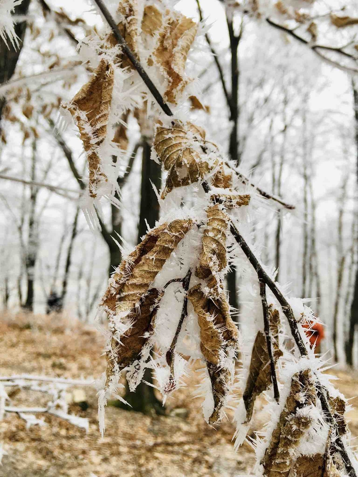 ❄️