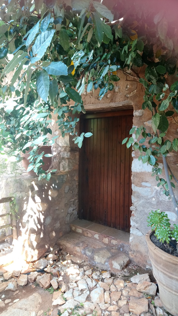 door ?