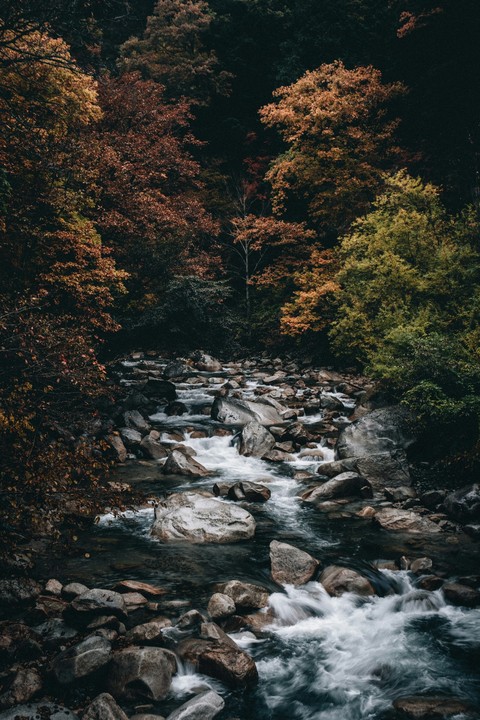 watercourse, Rock桌布