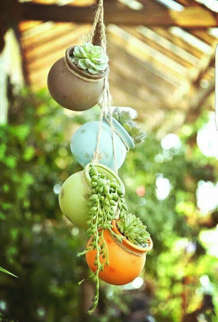 pot craft plants best