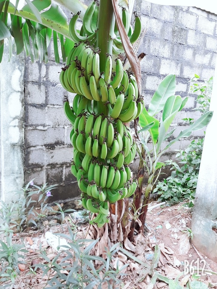 đi ăn