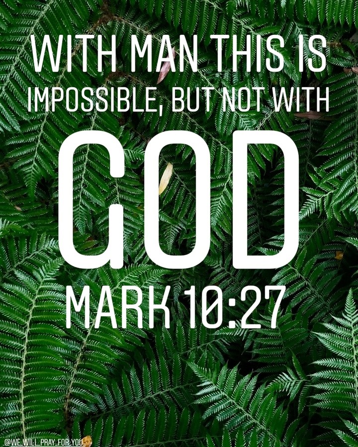 Bible