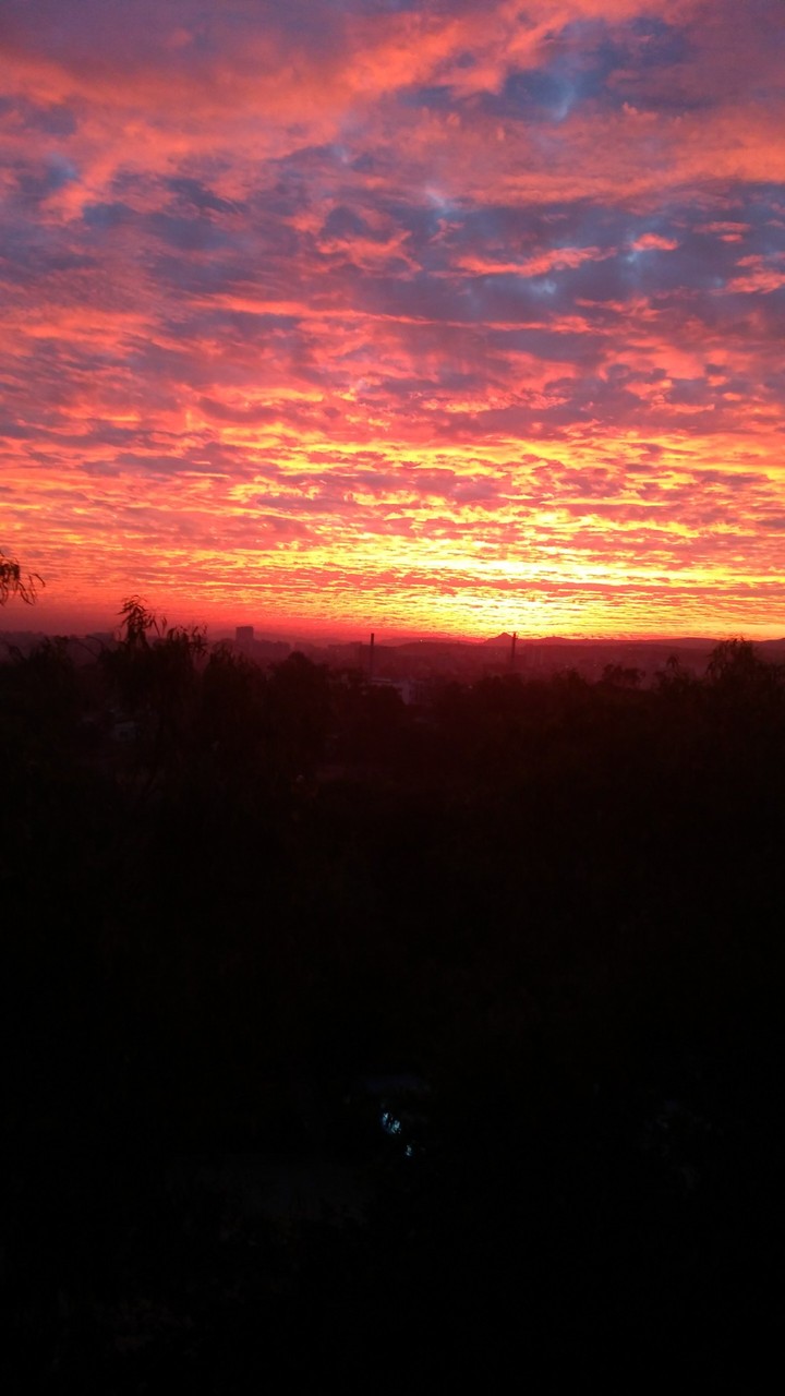 Morning