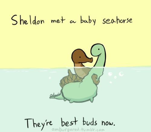 Sheldon loves to make friends. Today he met a Seahorse.