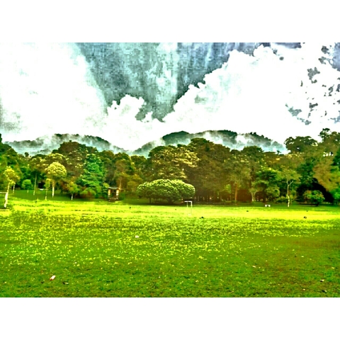 green and white