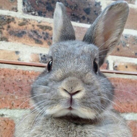 ❤